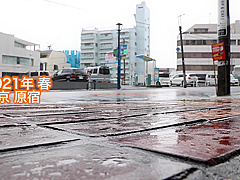451HHH-023 Japanese Amateur