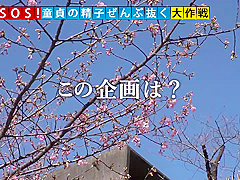 499NDH-018 Japanese Amateur