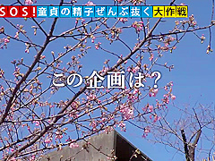 499NDH-022 Japanese Amateur